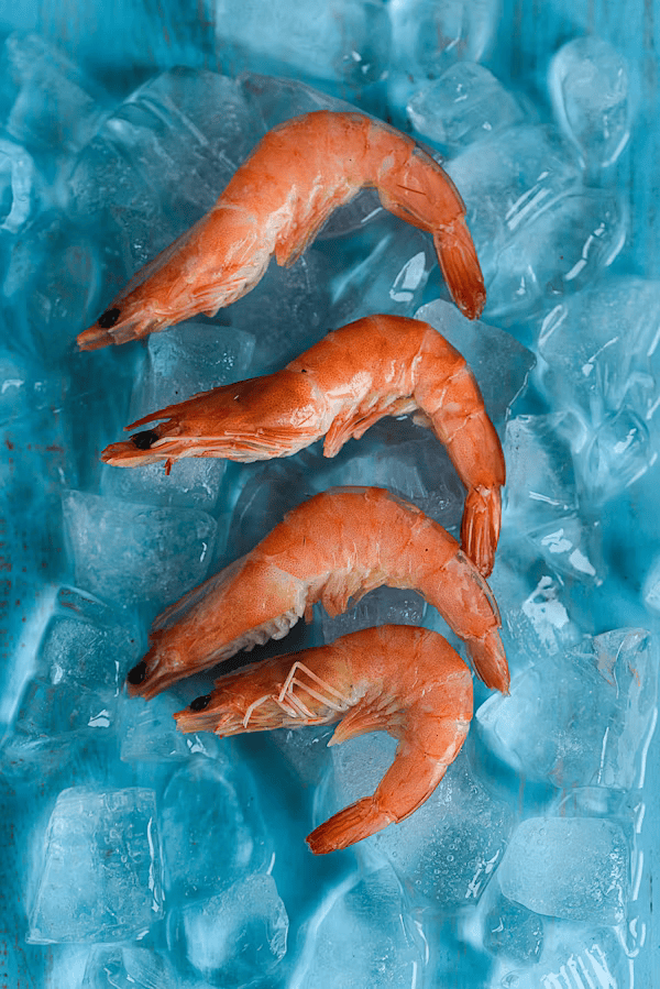 Fresh Shrimp